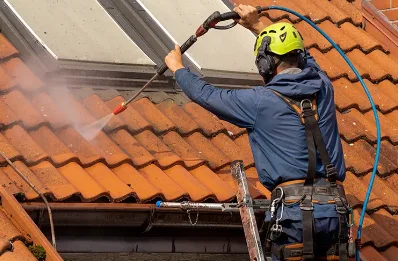 Démoussage et hydrofuge de toiture à Gœulzin
